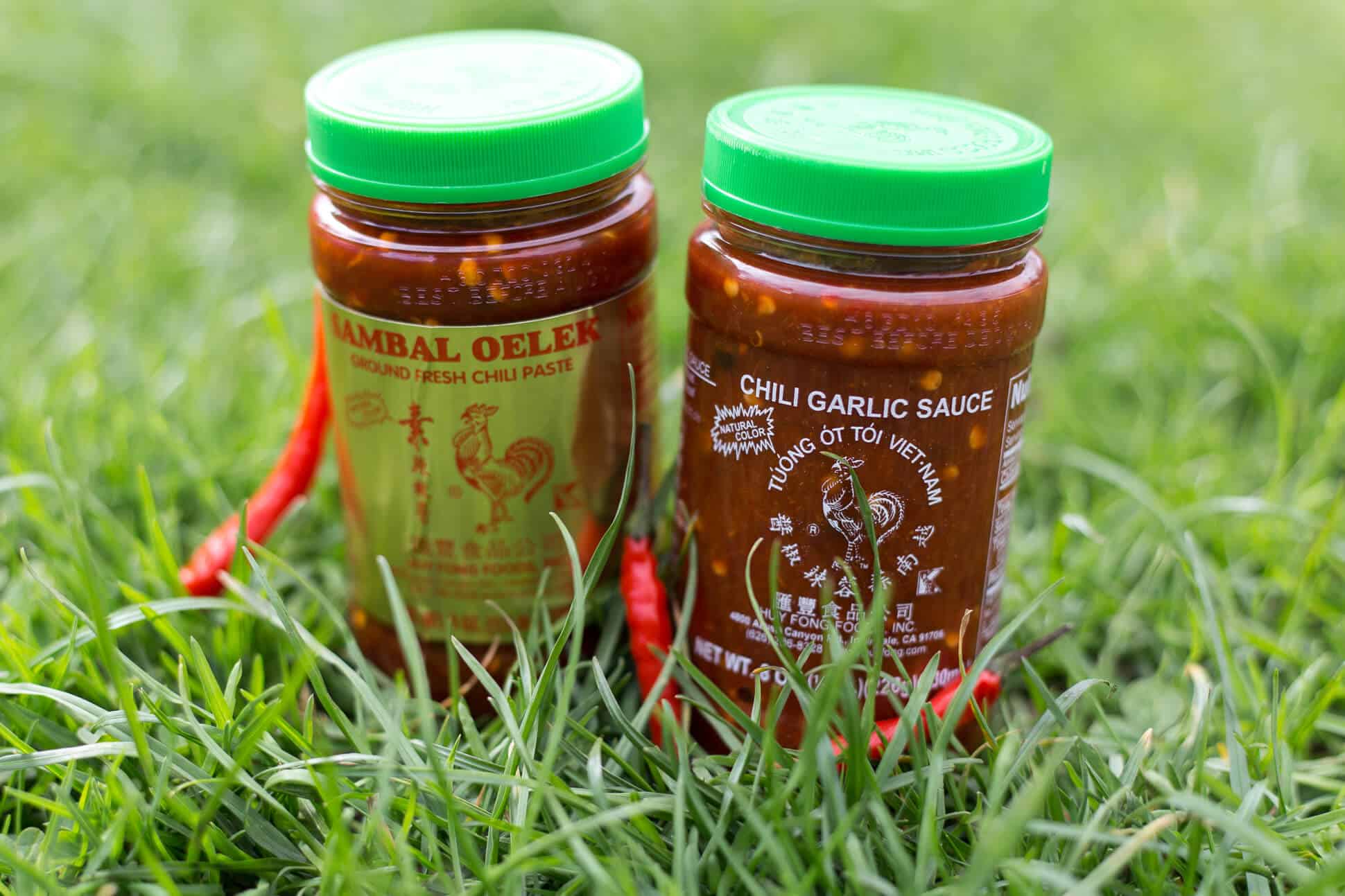 eatfire_chili_saucenhuyfongsambaloelekgarlicsauce2 eatfire.de